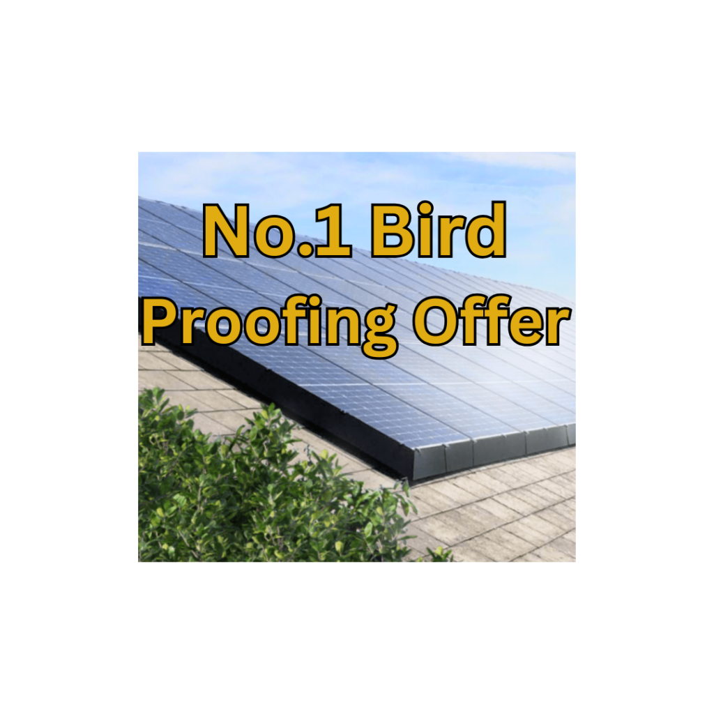 number 1 bird proofing offer image.